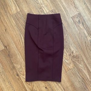 Zara Small Bodycon Midi Skirt Small